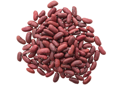 Haricot Rouge