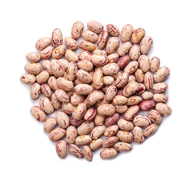 Pinto Beans