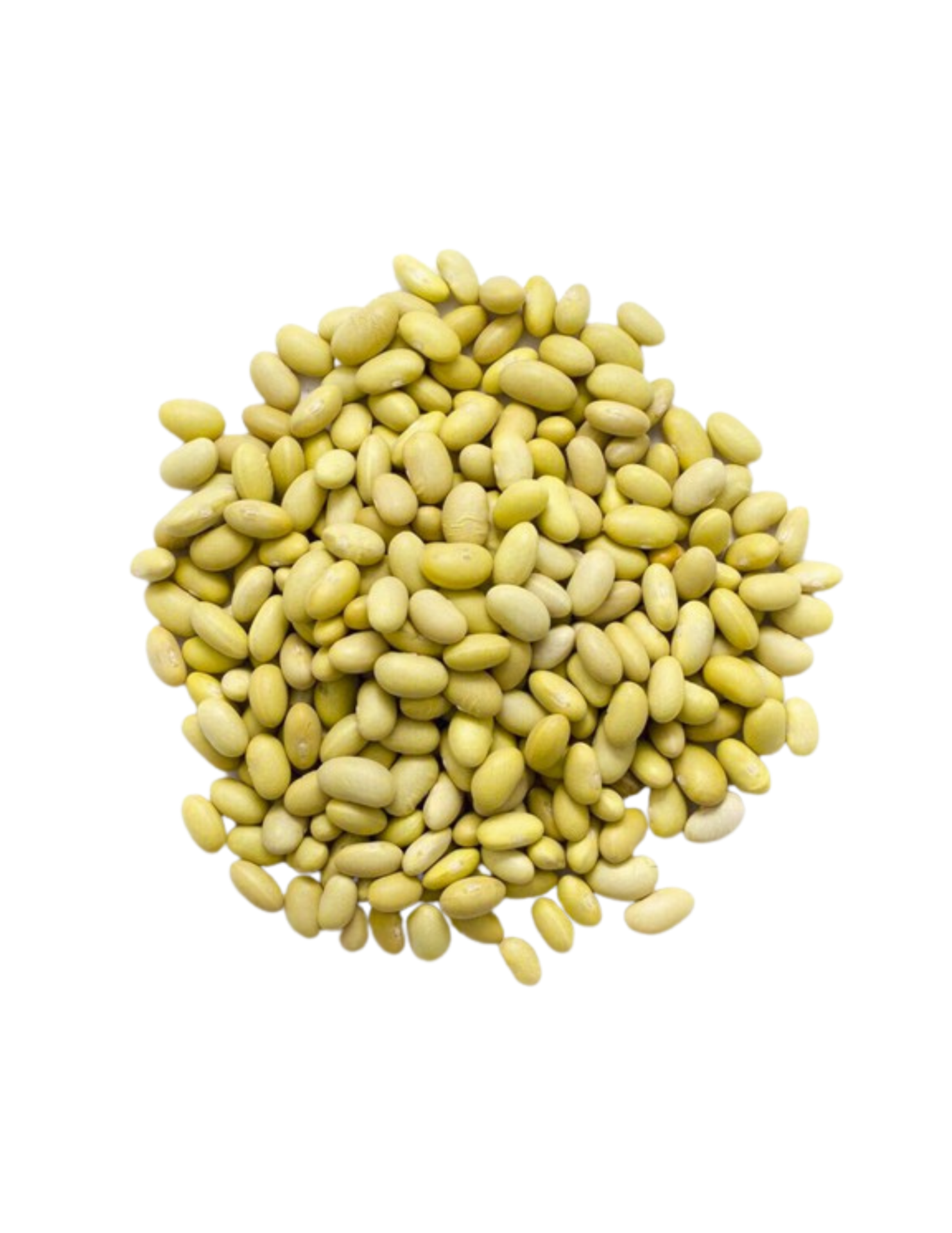 Haricot Jaune